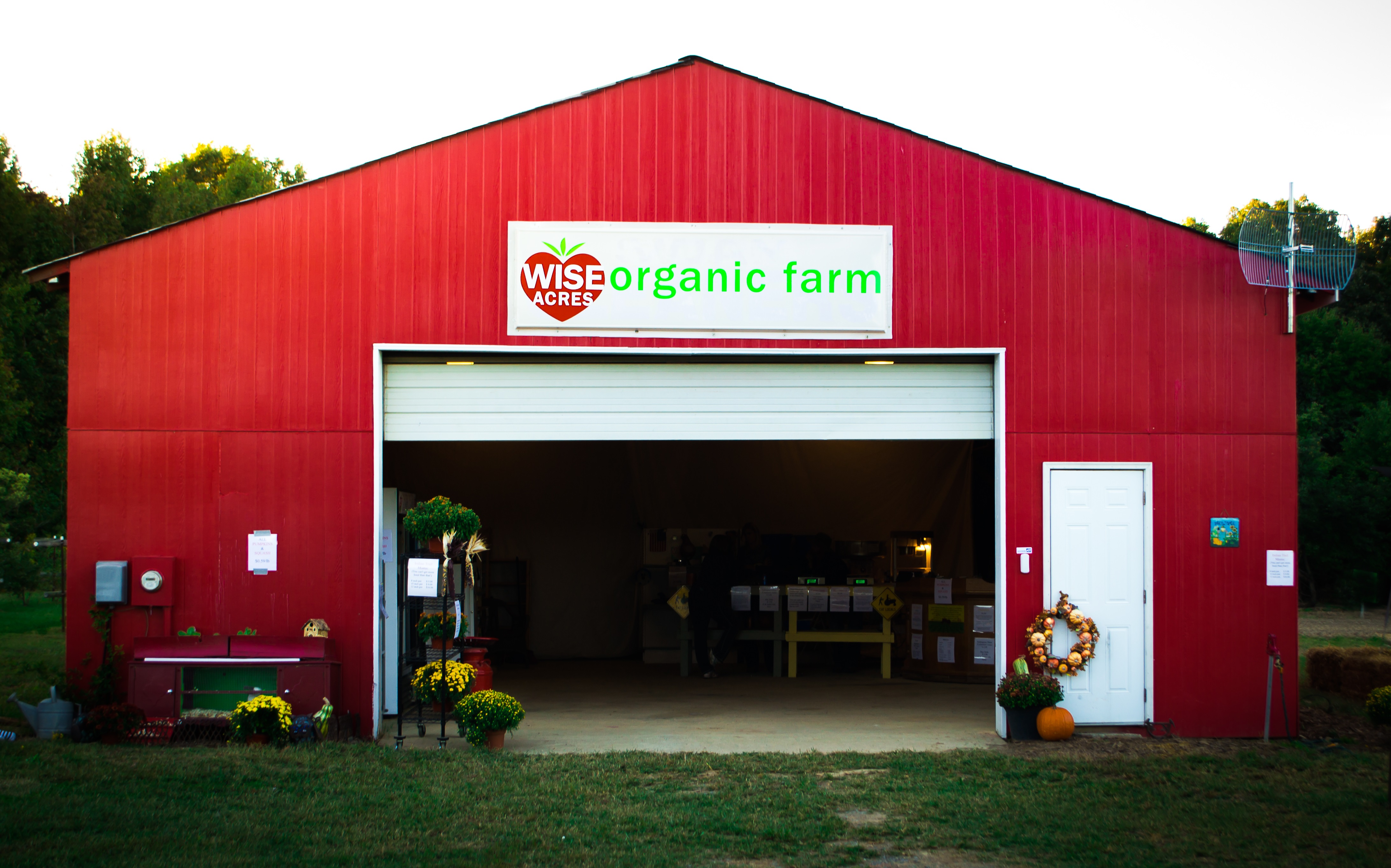 Wise Acres Upick Organic Strawberry Farm Indian Trail (Charlotte
