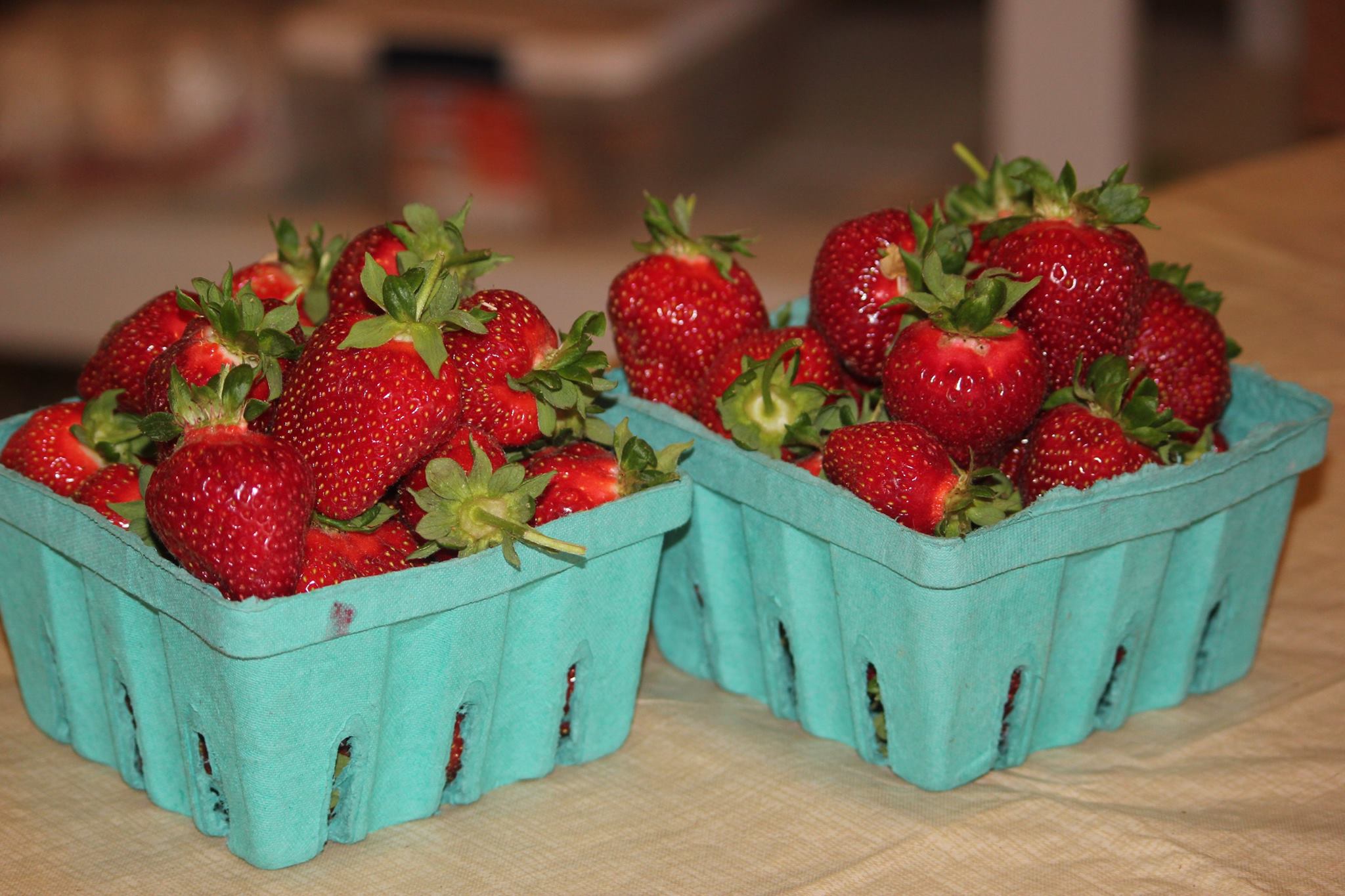 Wise Acres Organic UPick Strawberry Farm
